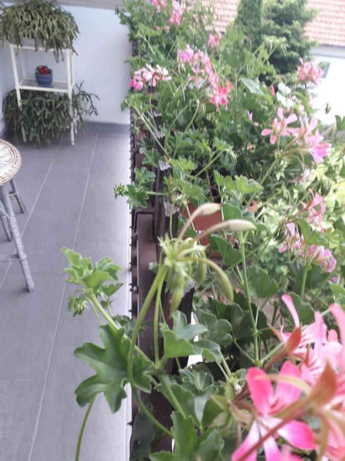 Appartement Nagy Haz à Szabadkígyós Extérieur photo